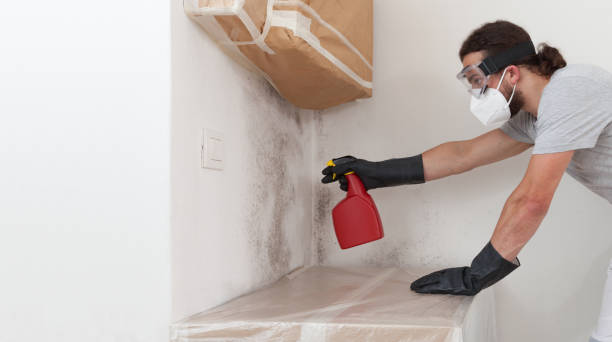 Professional Bathroom Mold Removal technician working in East Freedom, PA